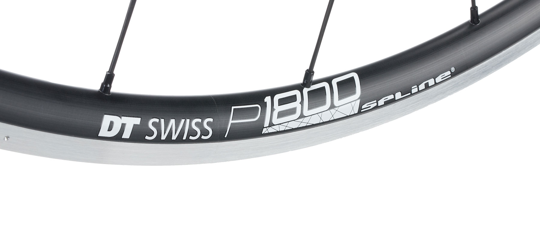 DT Swiss P1800 Spline 23 Front Wheel