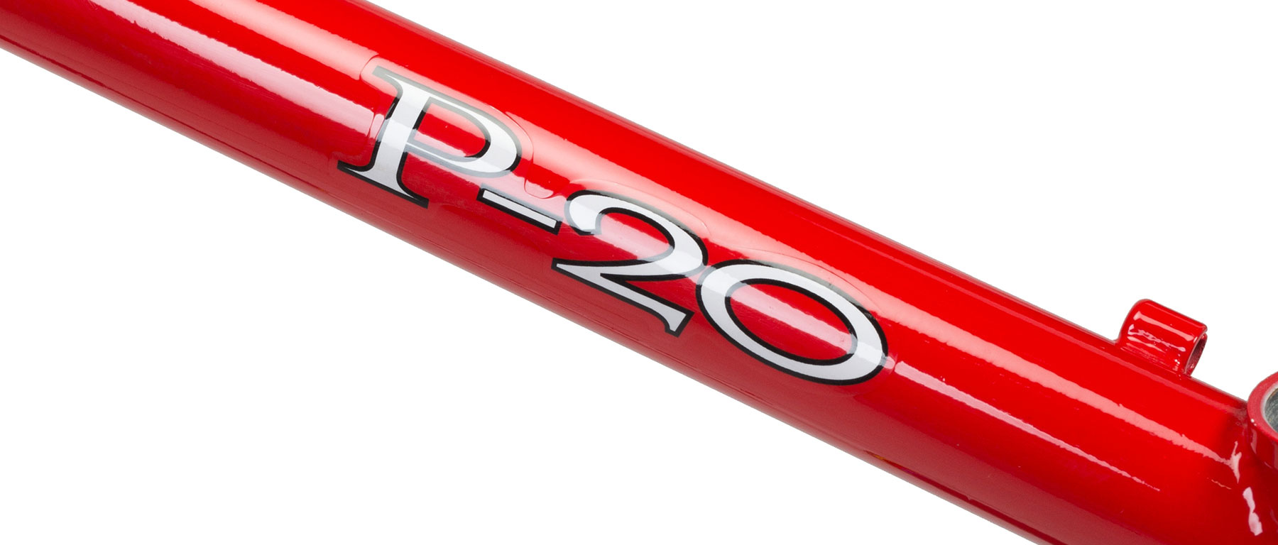Ritchey P-20 Frame