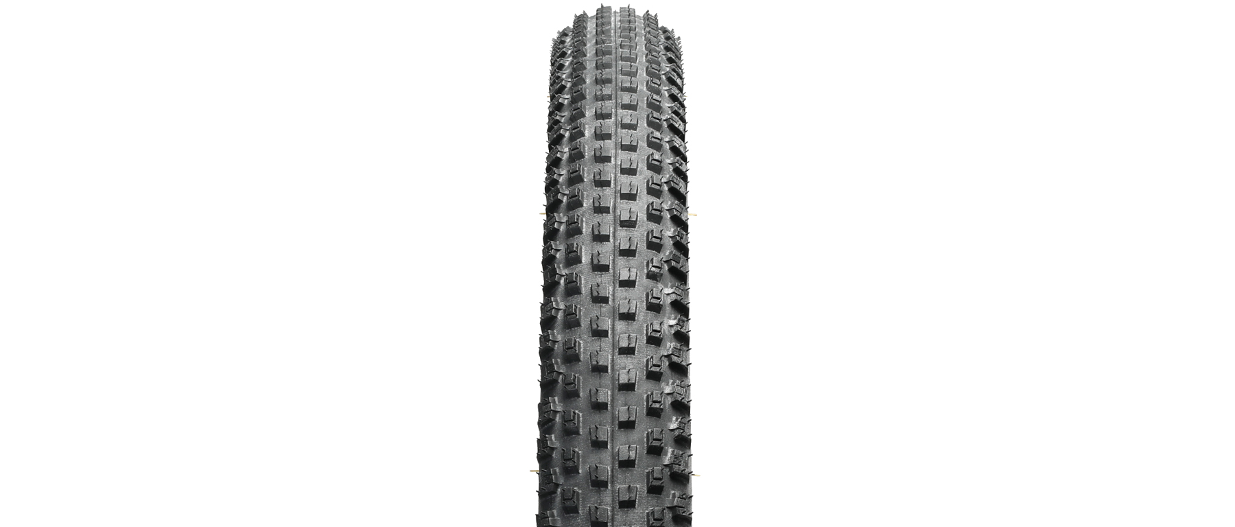 Specialized Renegade CONTROL 2Bliss Ready T5 Tire