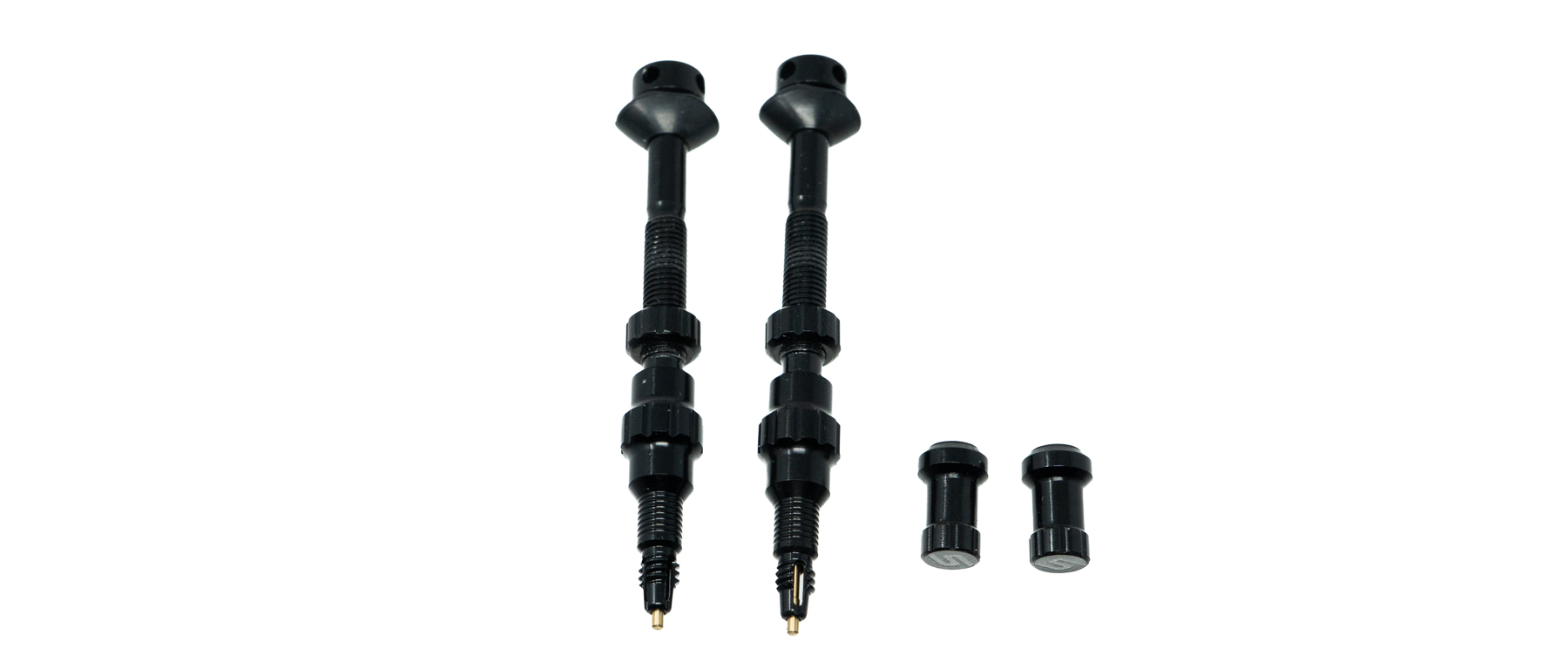 Stans NoTubes Exo-Core Valve Stems