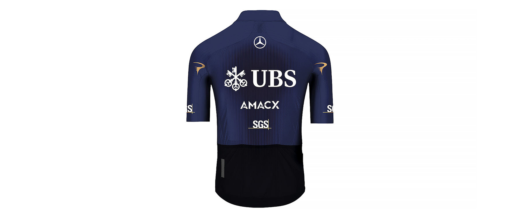 Q36.5 Gregarius Q36.5 Pro Cycling Team Jersey