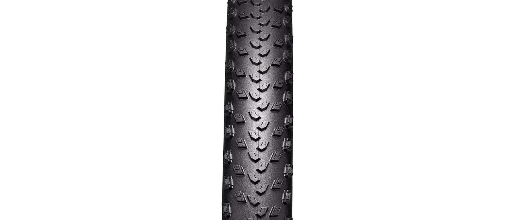 Specialized Fast Trak Flex Lite XC Tire