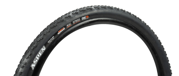 Maxxis Aspen Maxxspeed Silica EXO TR Tire