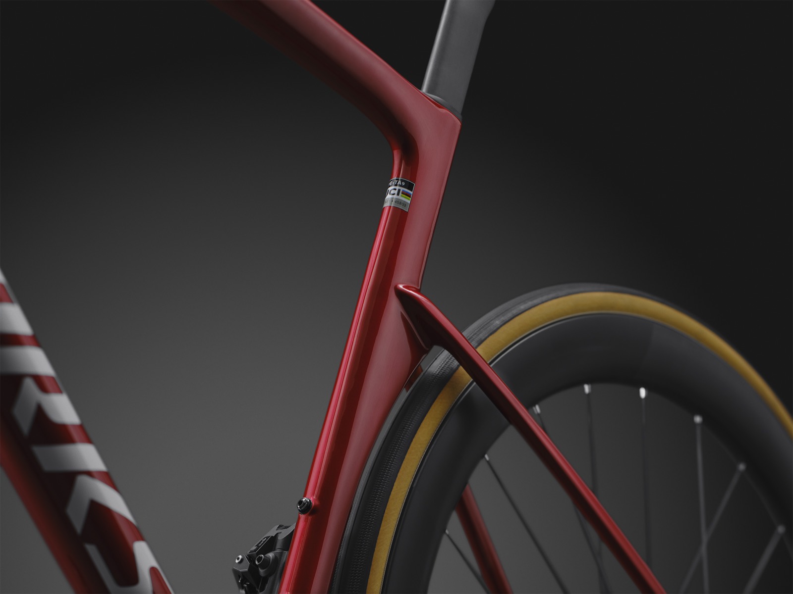 S-Works Tarmac SL9 Win Fin and rear triangle